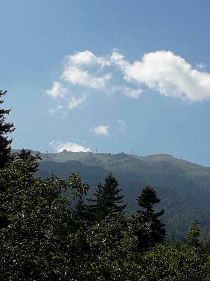 Lanobila Hotel Sinaia Bagian luar foto
